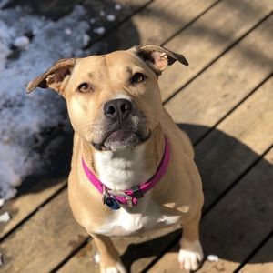 Meet your Posher, Joshua